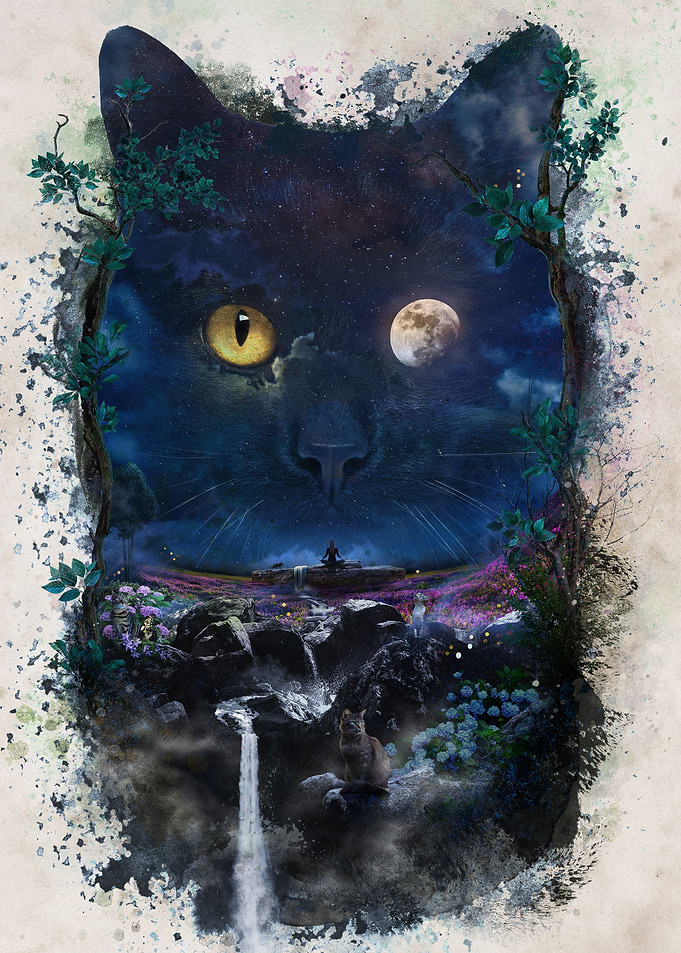 Night Cat