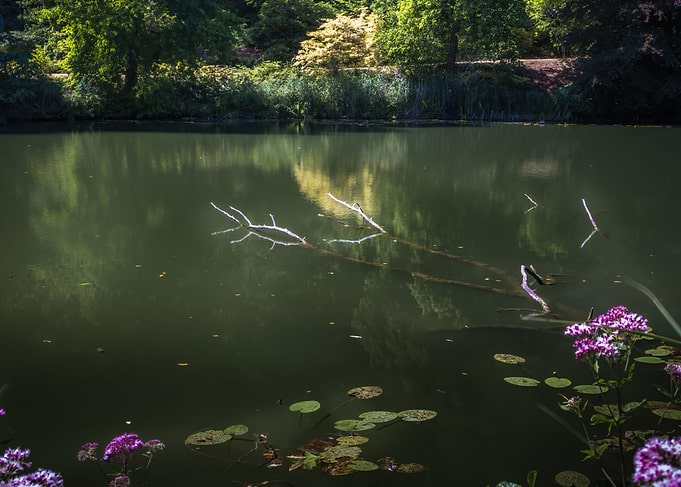 The lake