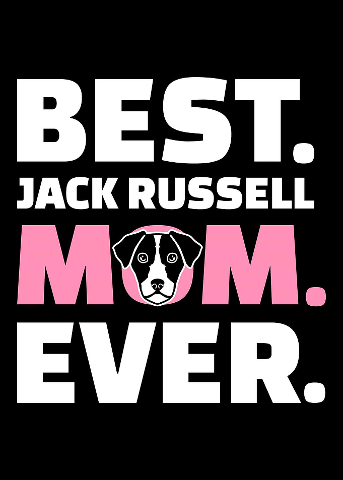 Jack Russell