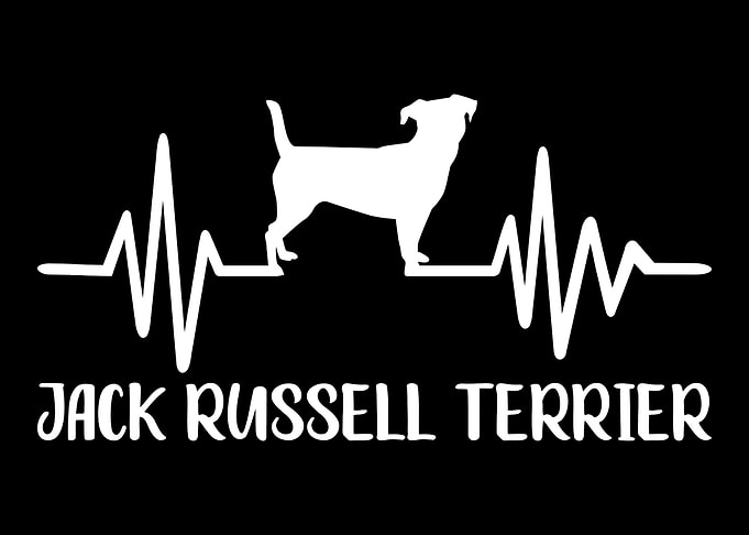 Jack Russell