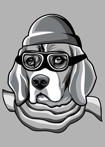 Skier Beagle Dog