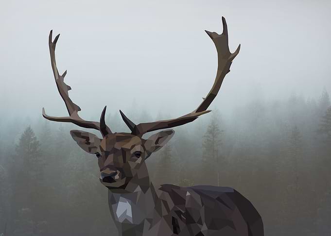 Polygon deer