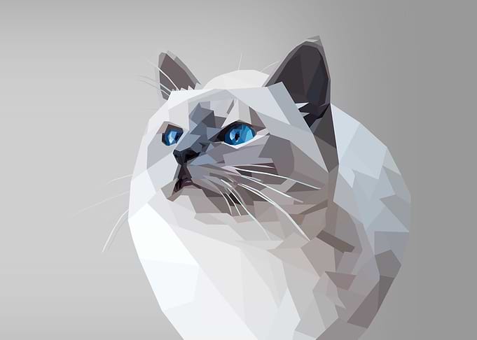 White polygon cat