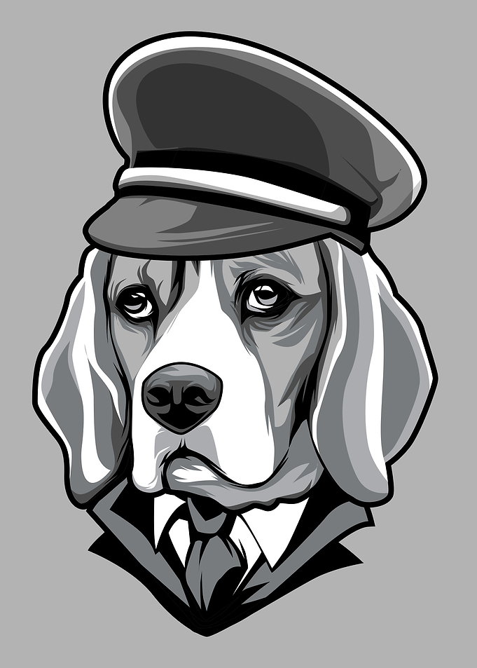 Pilot Beagle Dog
