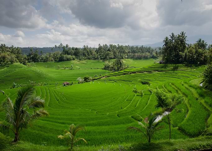 green floor green
