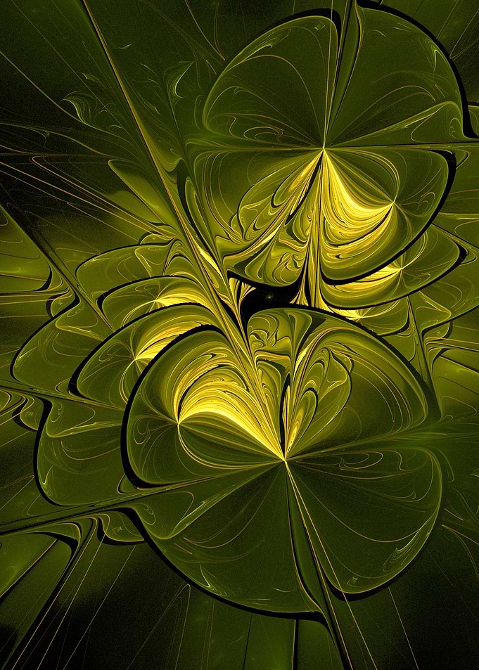 Lily pad
