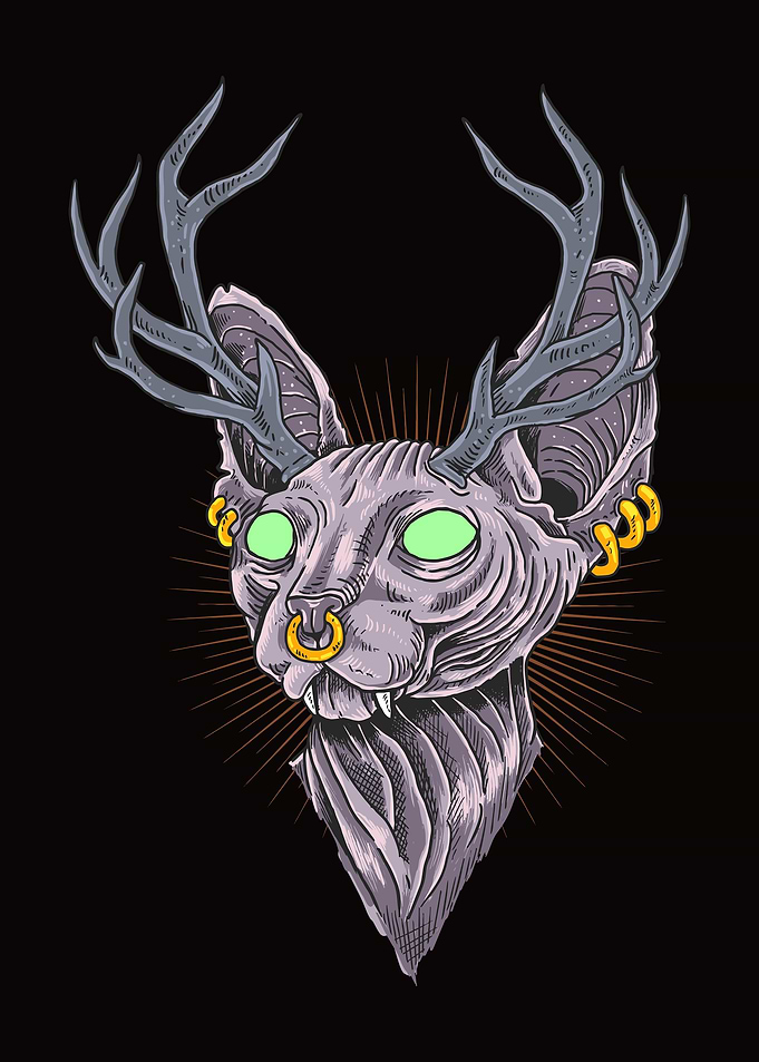 cat sphynx illustration