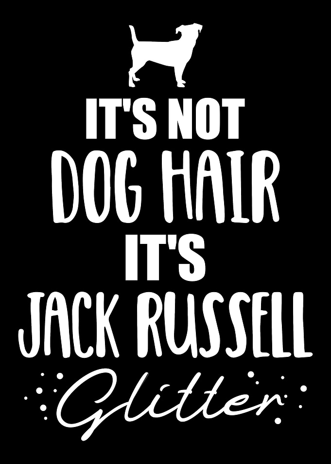 Jack Russell