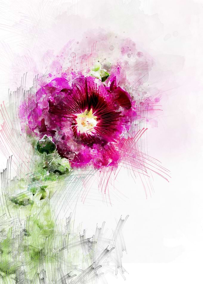 Symbolism of love Flower