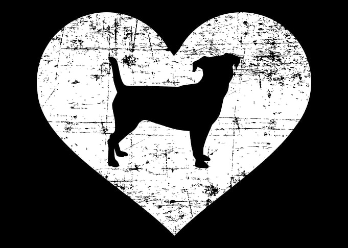 Jack Russell