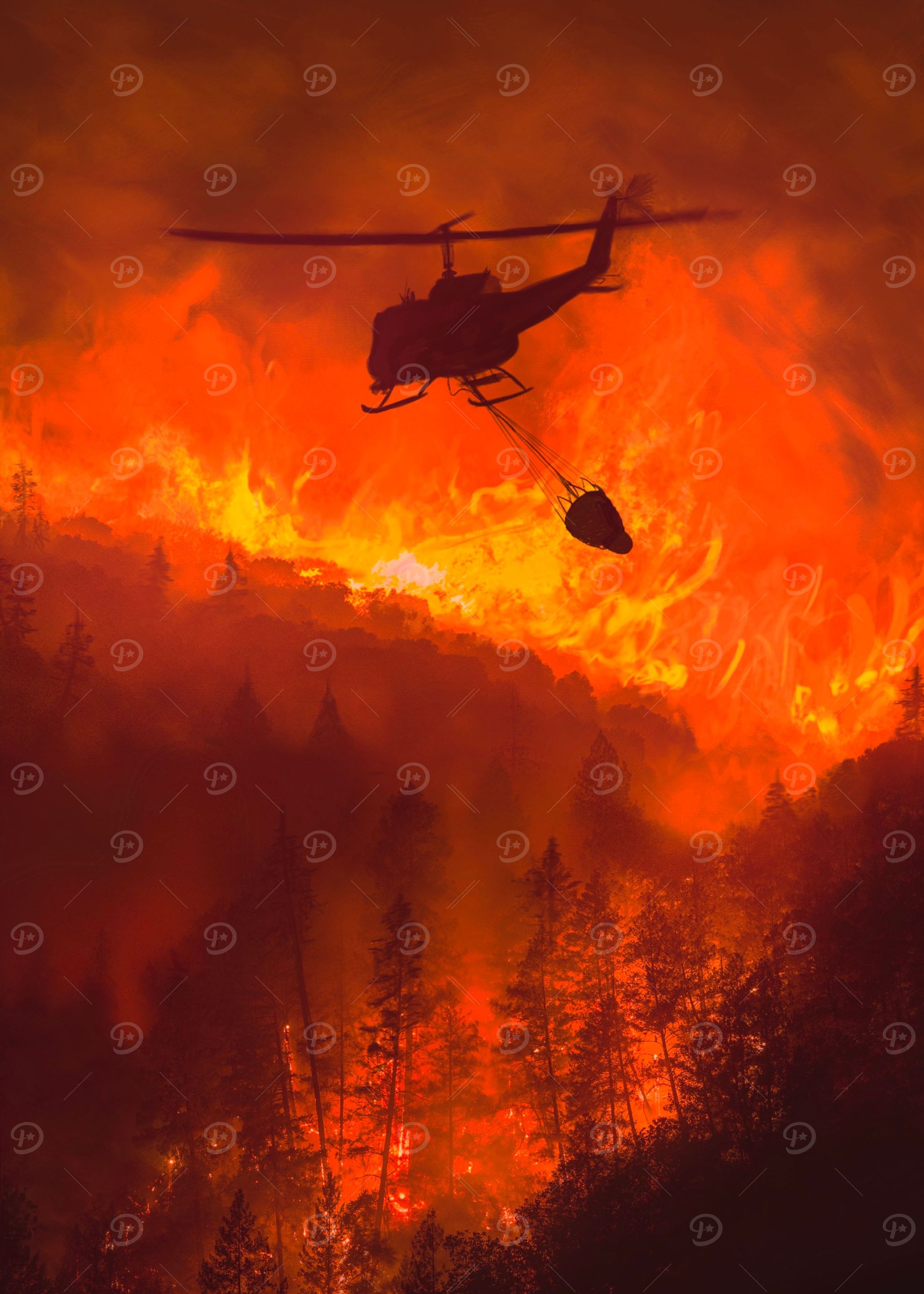 California Heroes