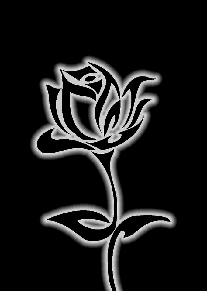 one rose