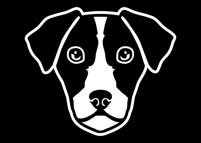 Jack Russell