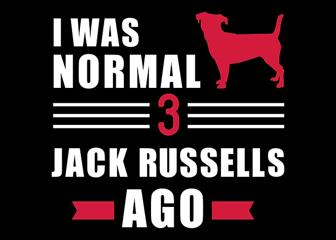 Jack Russell