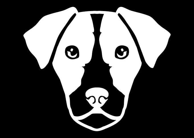 Jack Russell