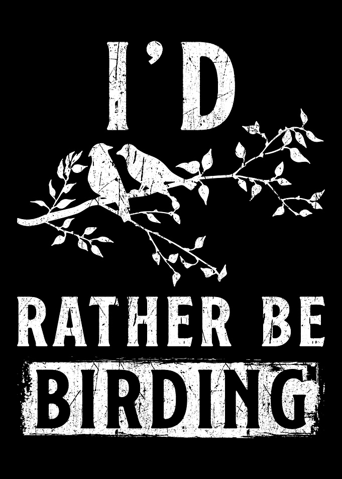 Rather Be Birding