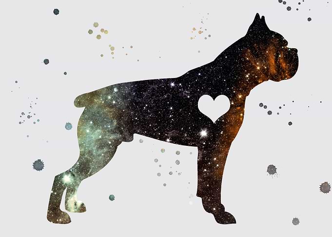 Boxer Nebula