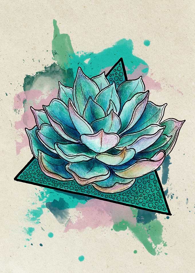 Blue Echeveria Light