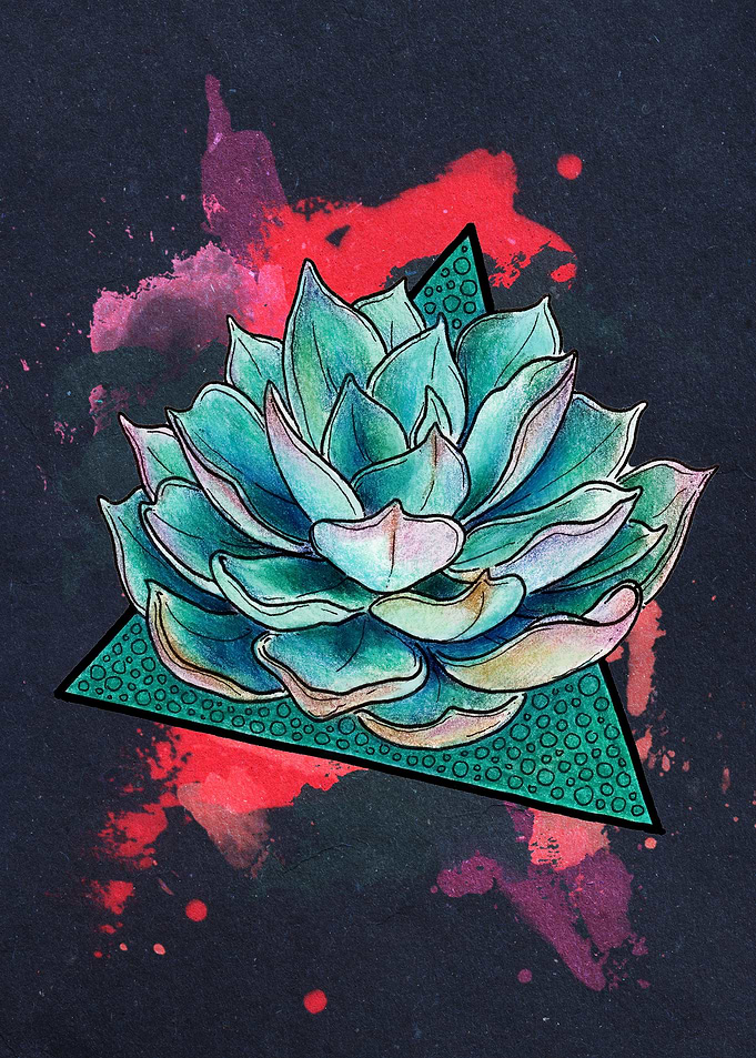 Blue Echeveria Dark