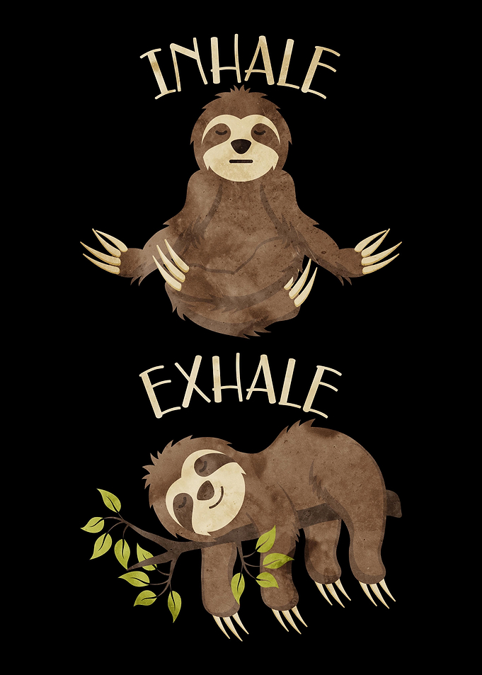 Funny Sloth Gift For Lazy