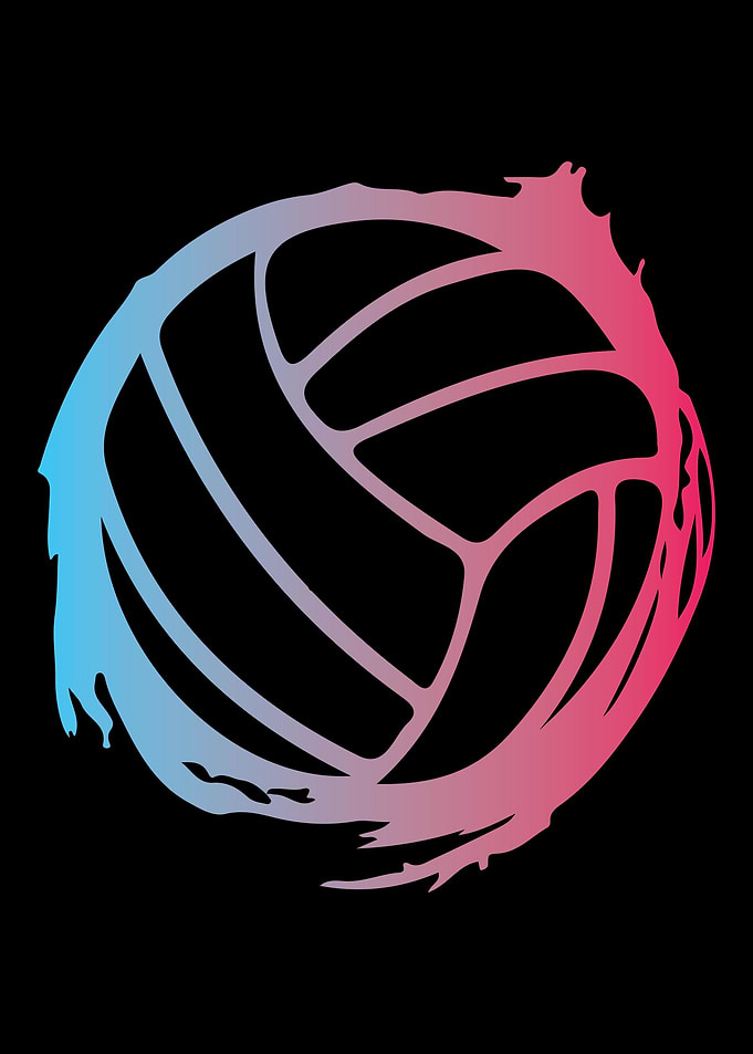 volleyball beach sports vo