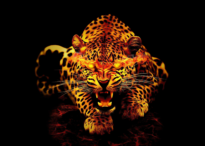 Fiery Jaguar