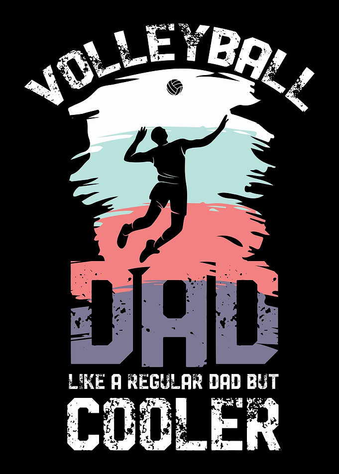 volleyball beach sports vo