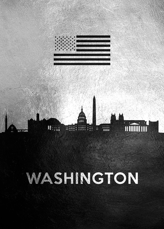 Washington Skyline