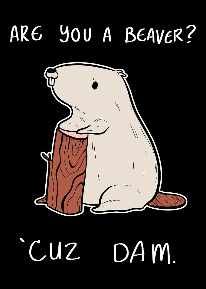 Beaver Dam Funny Flirt Per
