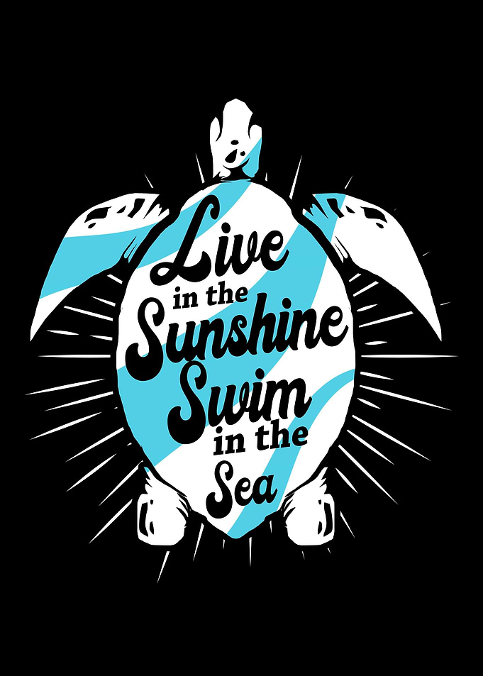 Sea Turtle Sunshine Sea