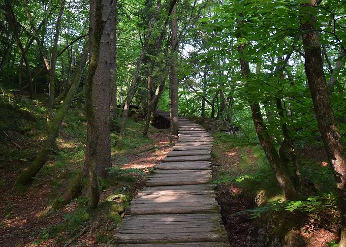 Path through Plitvice