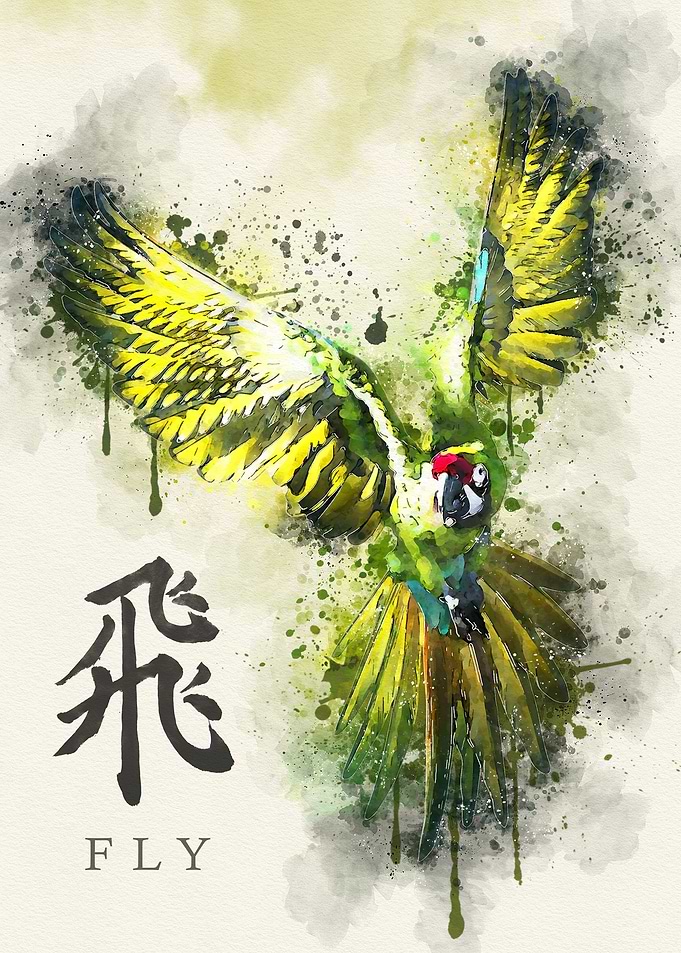 Bird Color Painting
