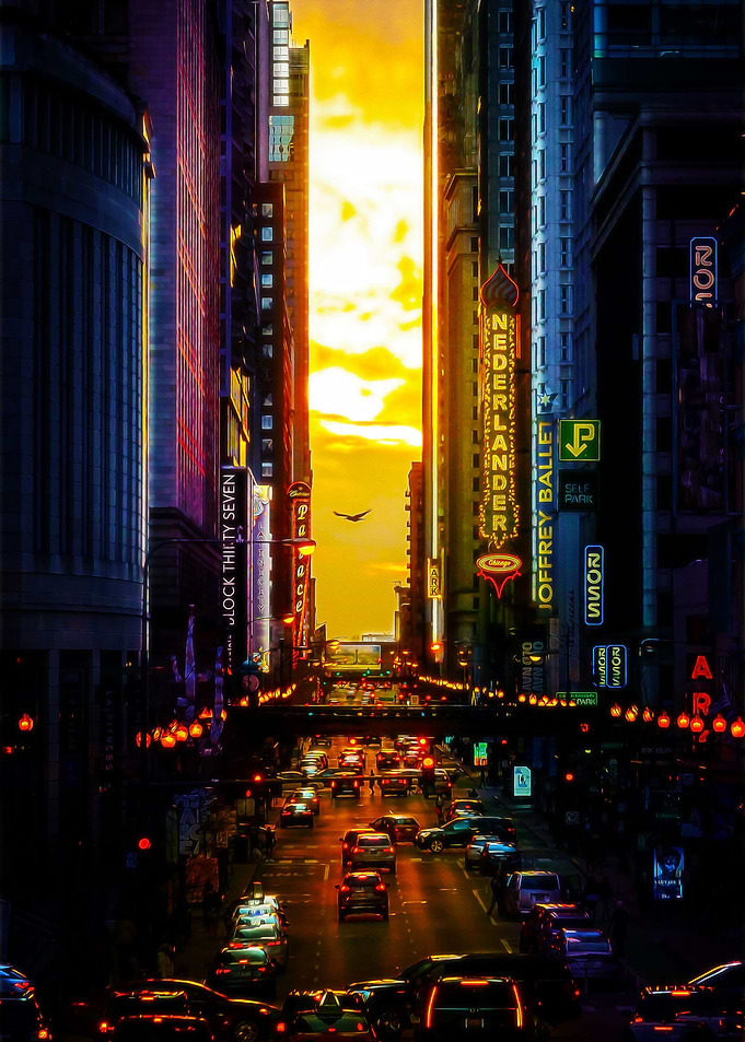 Chicago Sunshine