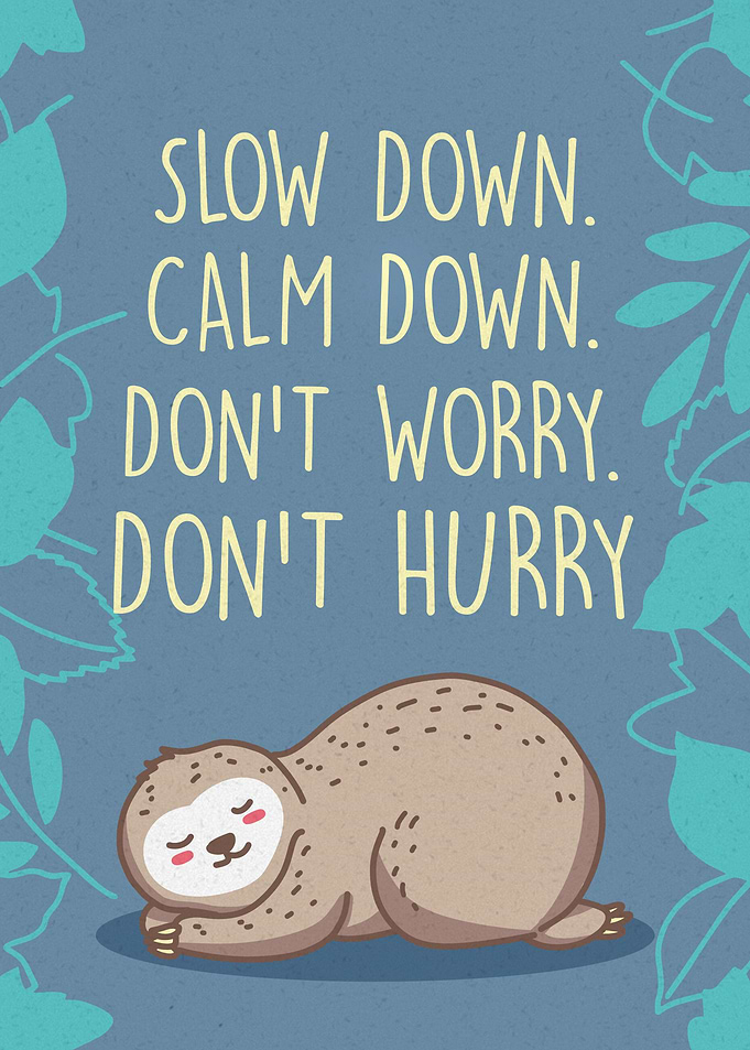 Slow Down Sloth