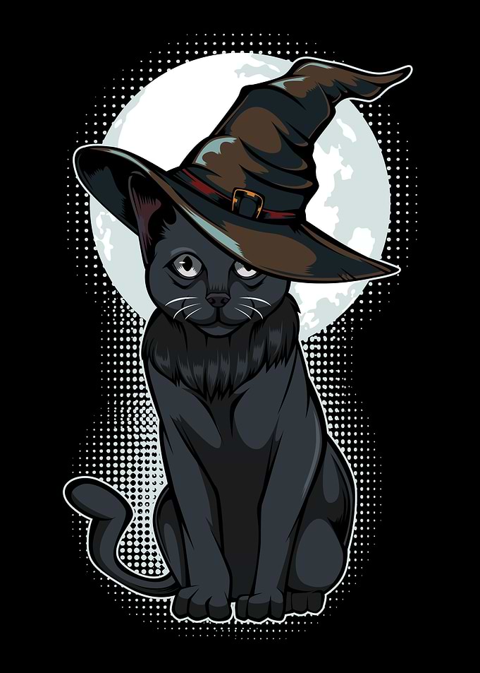 Halloween Black Cat With H