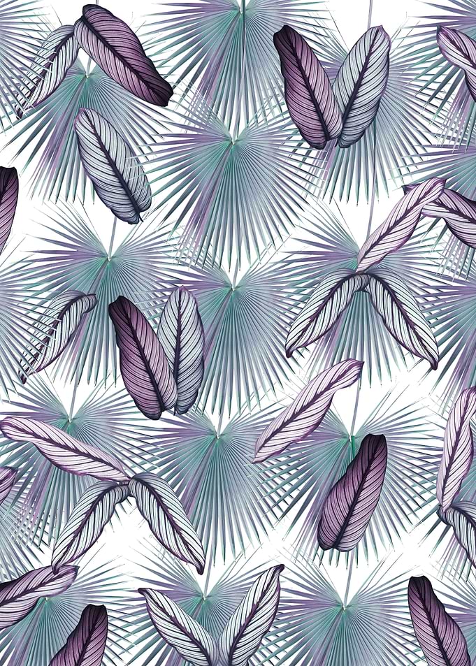 Calathea Fan Palm Leaves 1