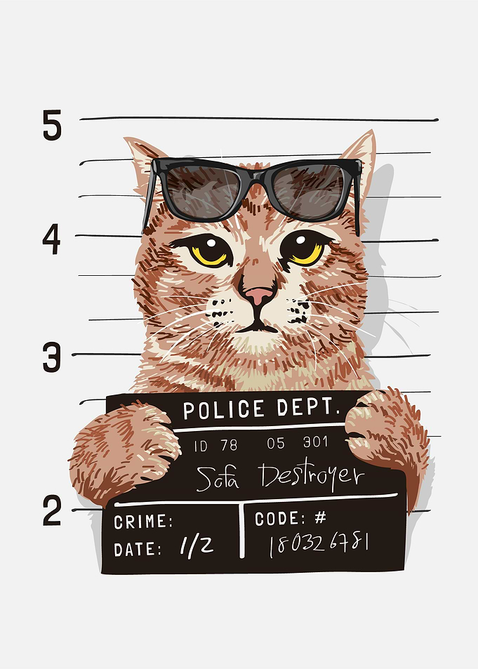Cat mugshot