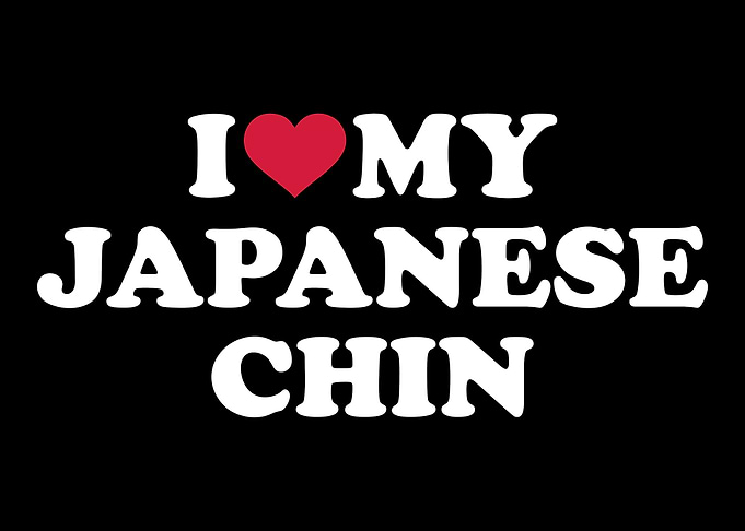 Japanese Chin