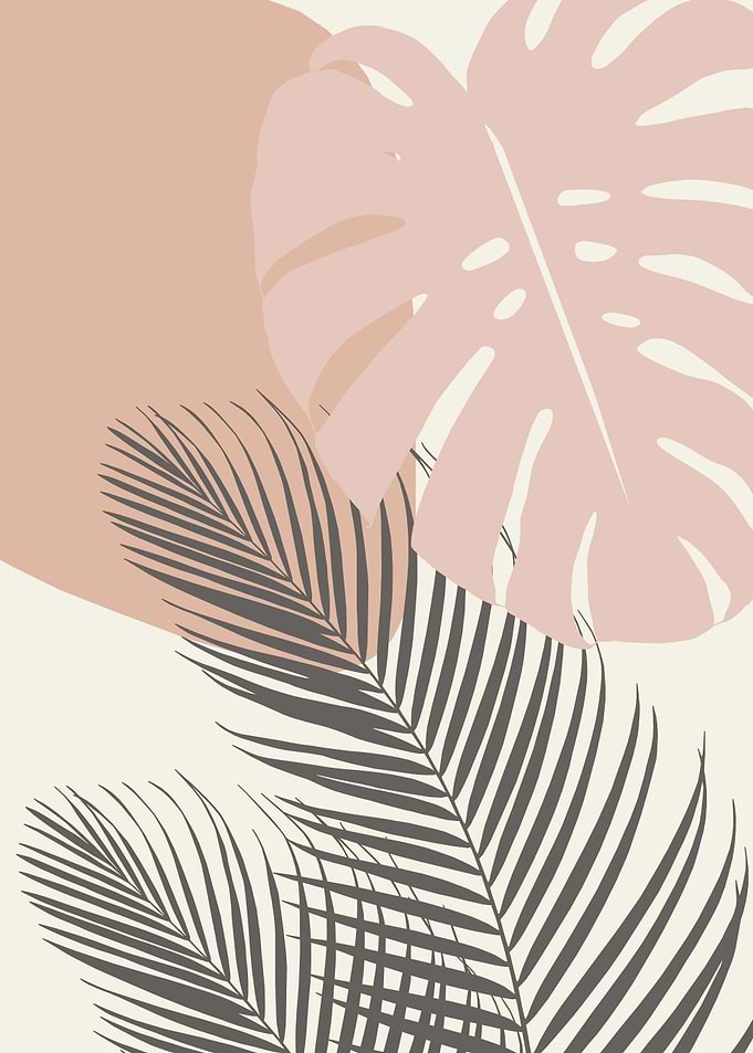 Monstera Palm Finesse 4