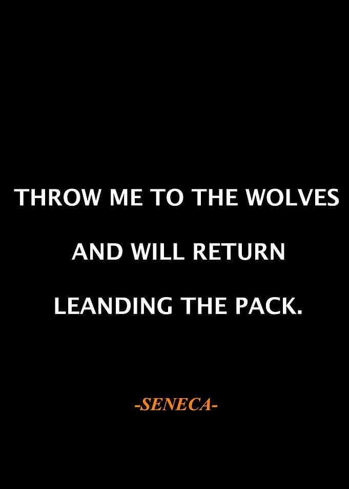 Seneca Qoute