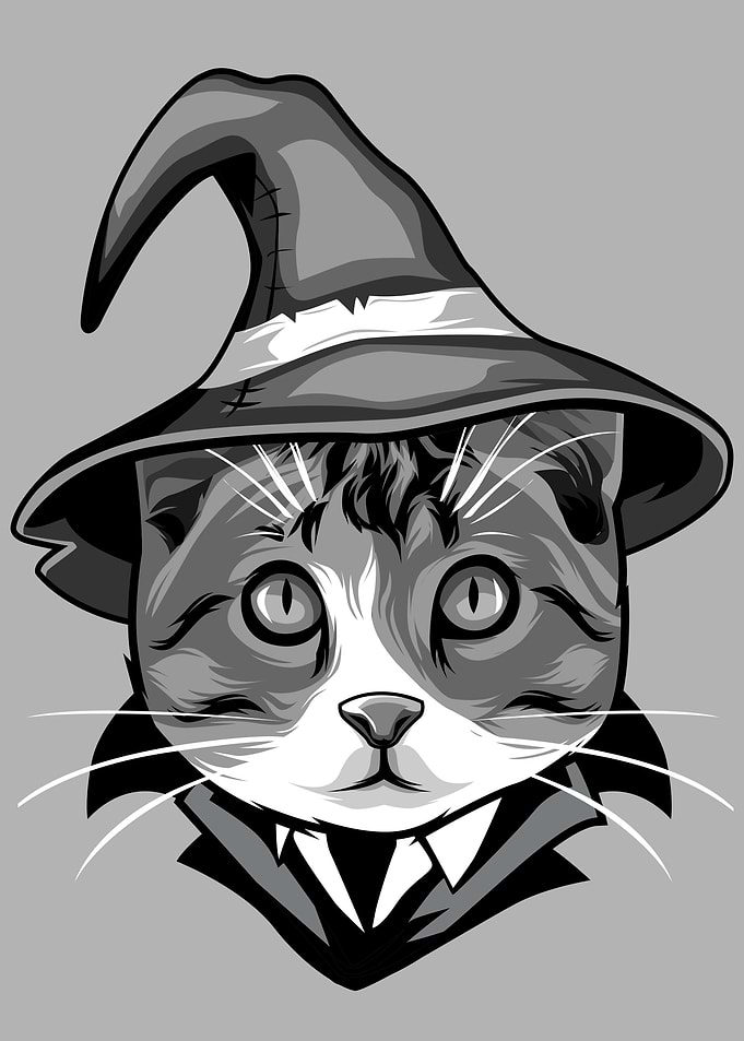Witch Cat