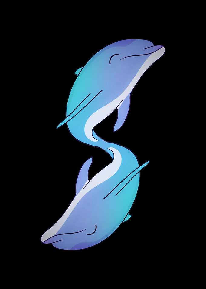 Beautiful dolphin animal