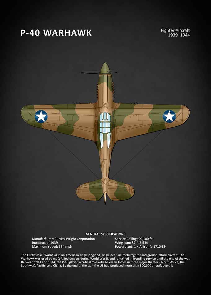 P40 Warhawk