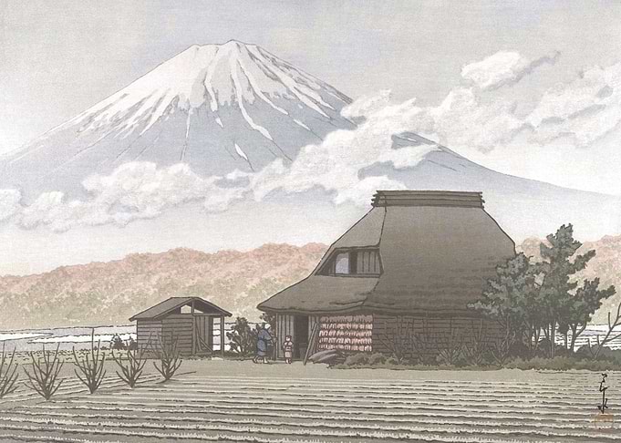 Mt Fuji Seen From Narusawa