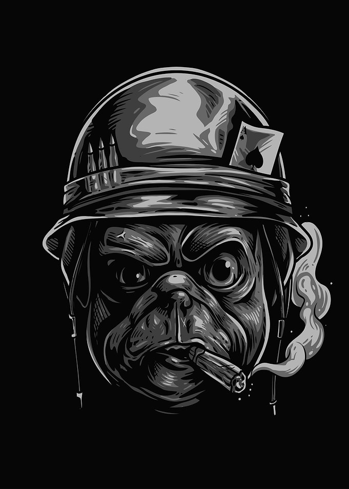 Veteran Dog