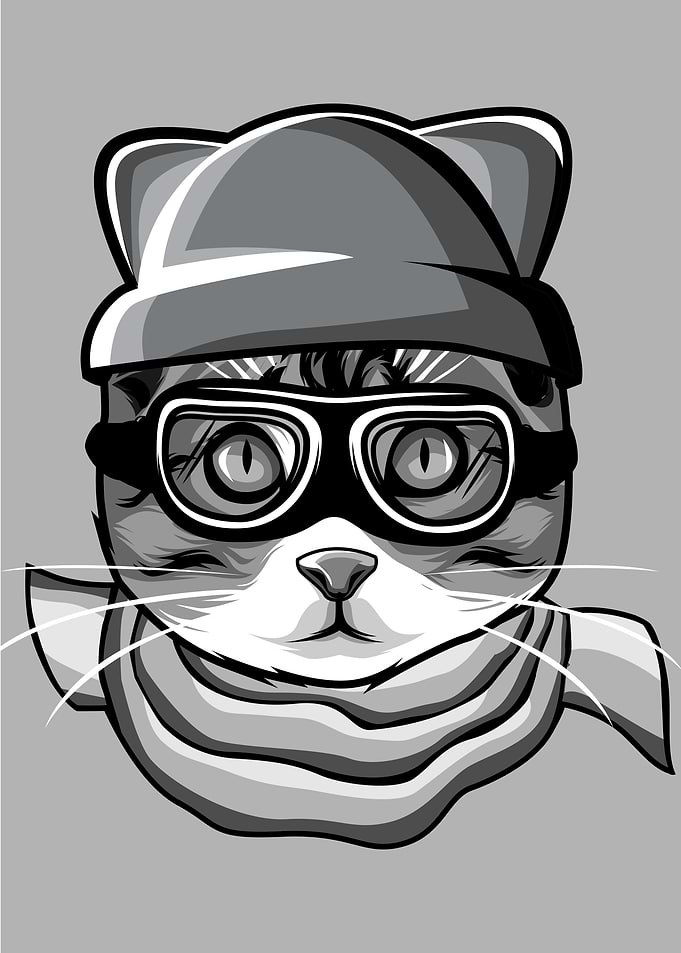 Skier Cat