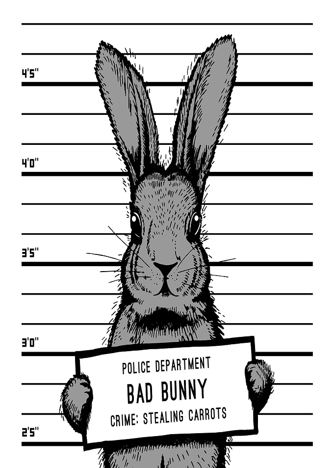 Rabbit Mugshot