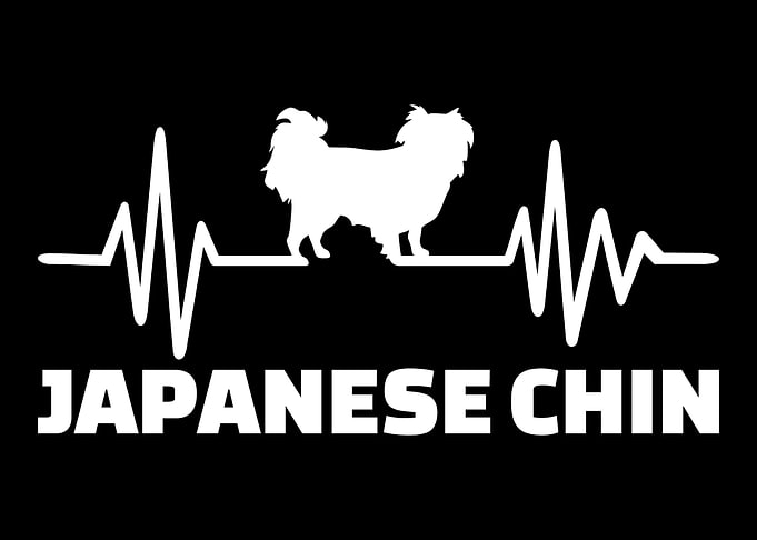 Japanese Chin