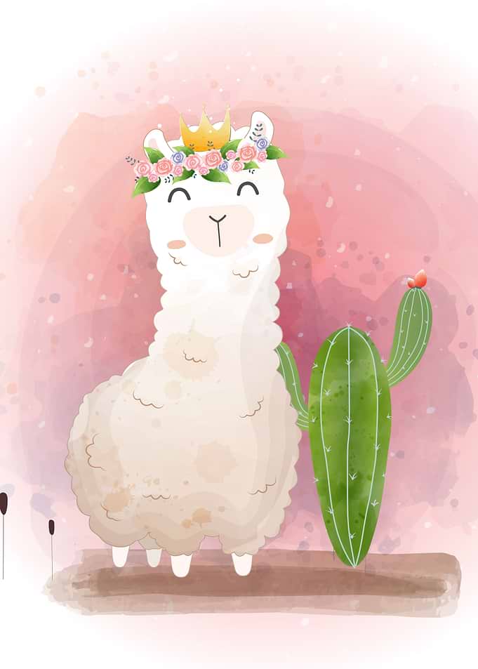 Cute llama