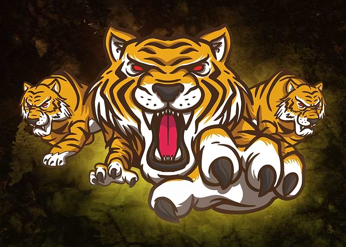 Furious Tigers